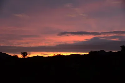 DSC_1437 (Large).JPG